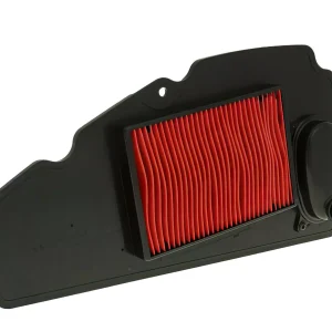 Spugna Filtro Aria, Honda NSS 250 Forza X (2005 - 2007)