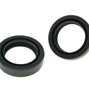Set Paraolio Forcella 30x42x10,5mm (x2) per Aprilia SR 50 dal 2003 / GY6 125-150ccm